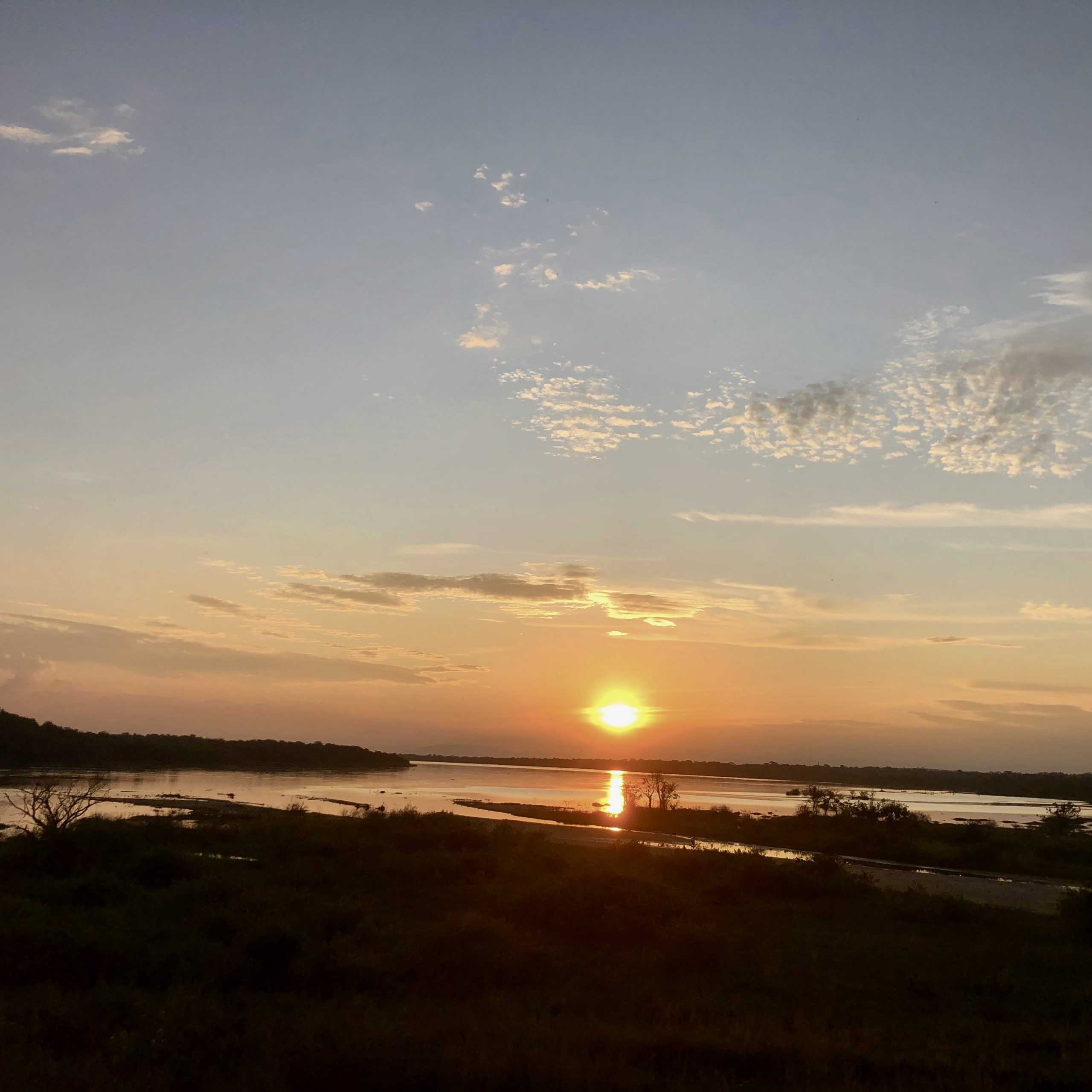 Uganda Gorilla Trekking